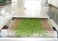 PLC het Materiaalmoringa van de Microgolf de Drogende Sterilisatie Bladeren van de Bladeren Drogere Oven